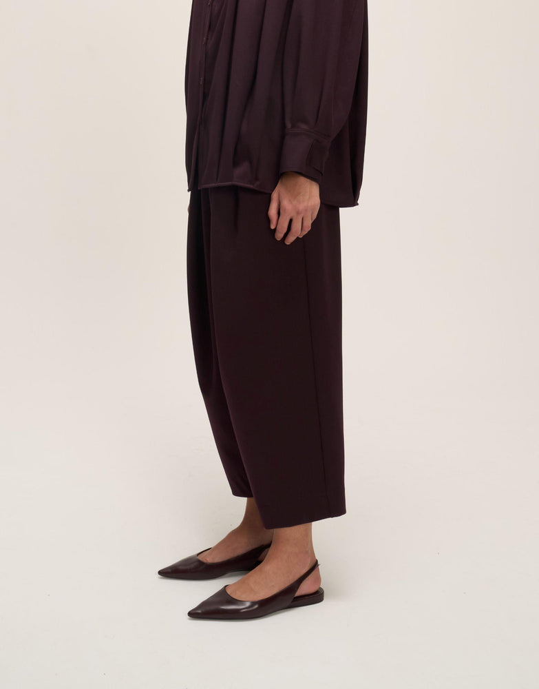 Pleated Carrot Trouser